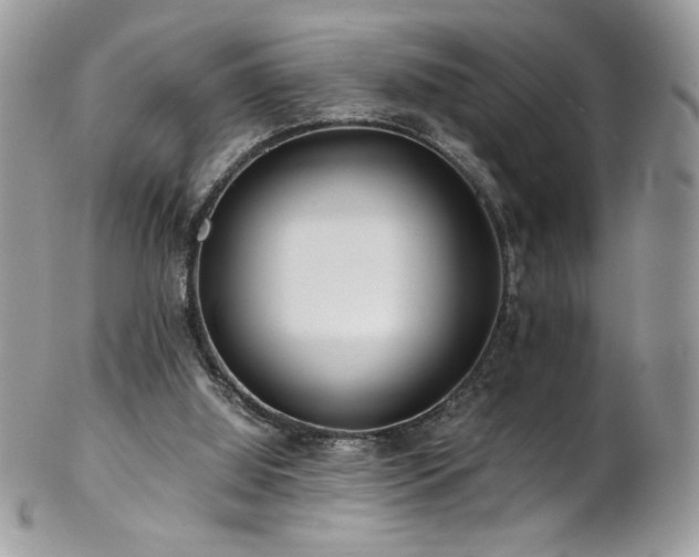 X0000102820060200808181255