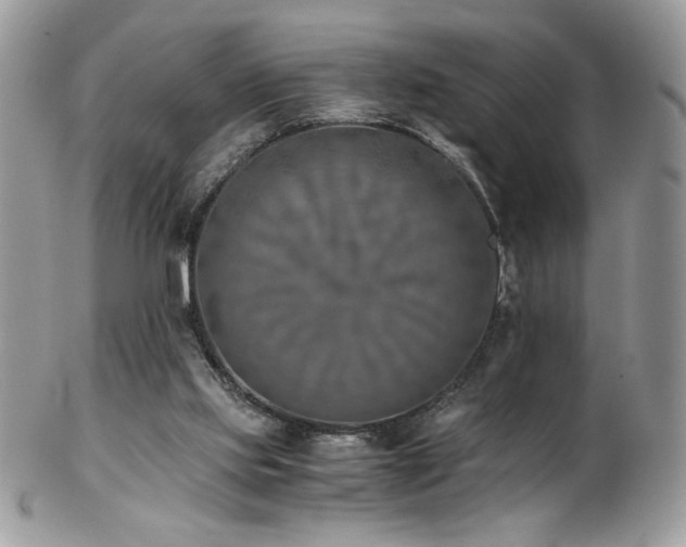 X0000102820061200808181255
