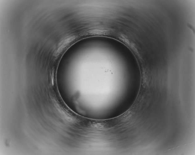 X0000102820062200808181255