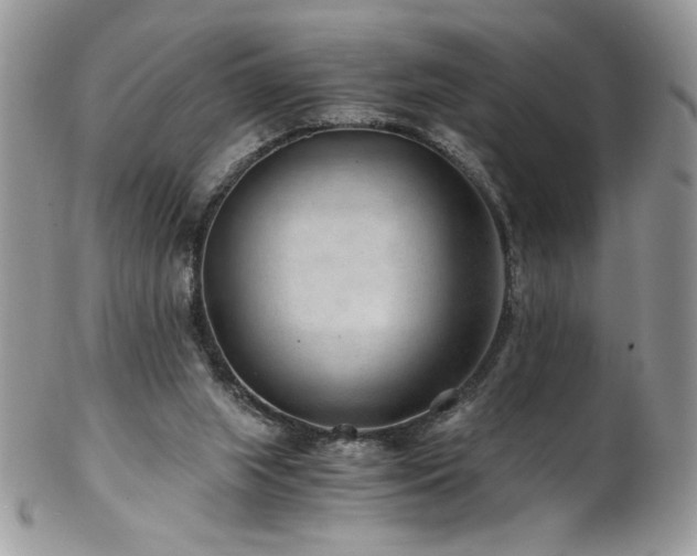 X0000102820063200808181255