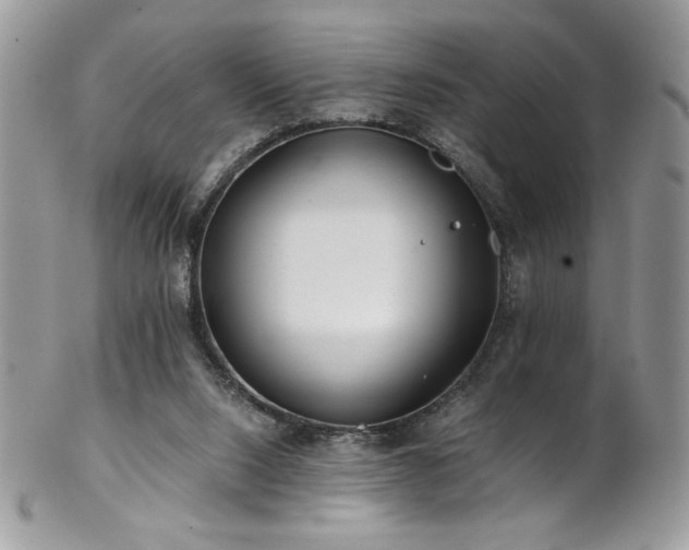 X0000102820064200808181255