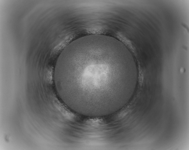 X0000102820065200808181255