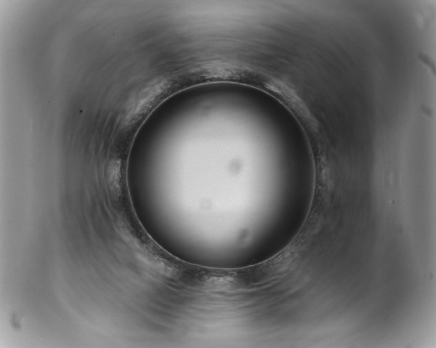 X0000102820066200808181255