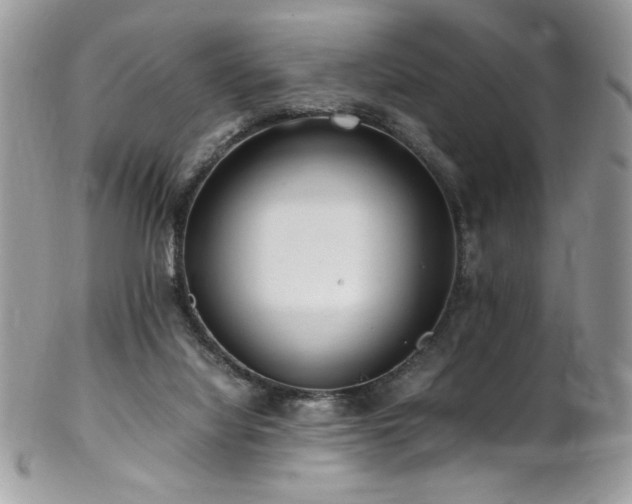 X0000102820068200808181255