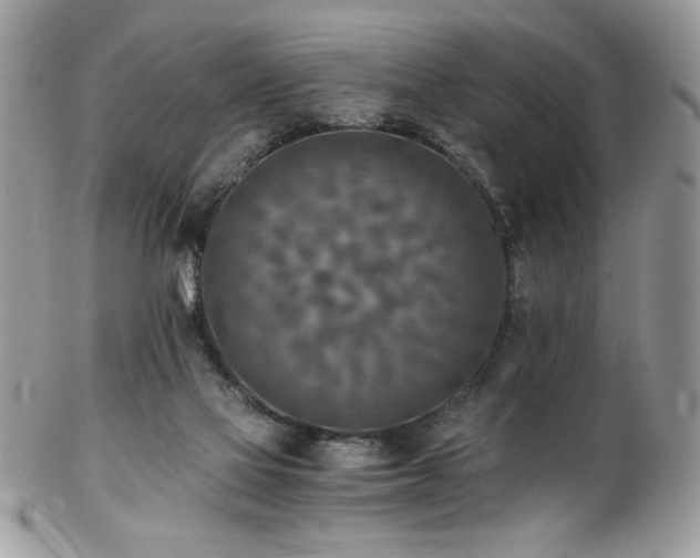 X0000102820069200808181255