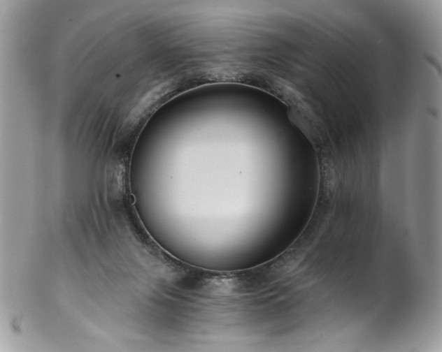 X0000102820071200808181255