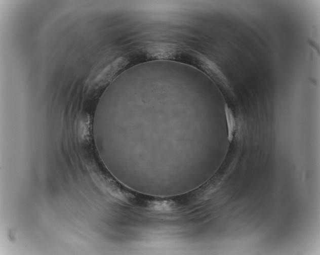 X0000102820073200808181255