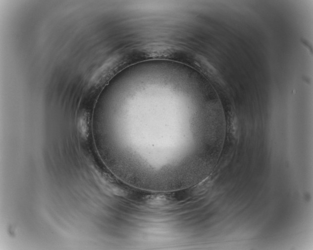 X0000102820074200808181255