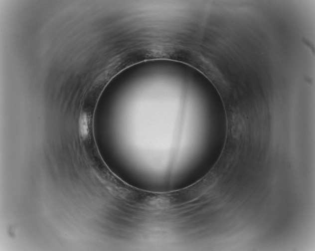 X0000102820075200808181255