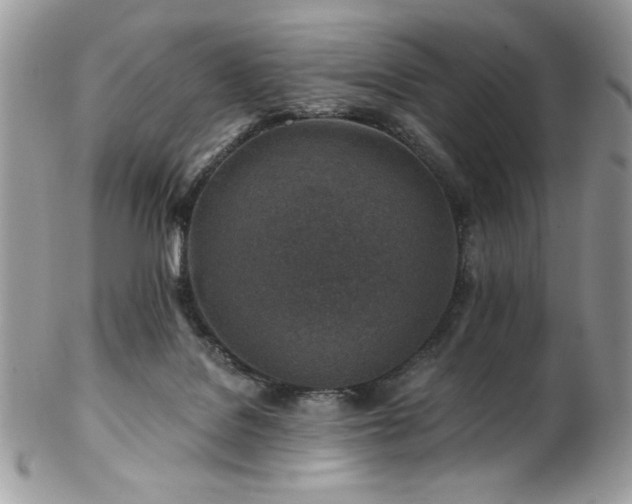 X0000102820076200808181255