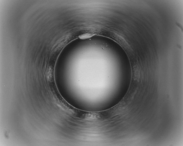 X0000102820077200808181255