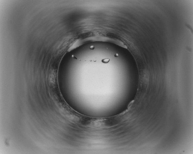 X0000102820078200808181255