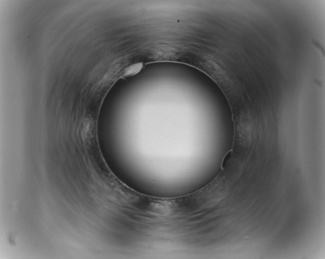 X0000102820079200808181255