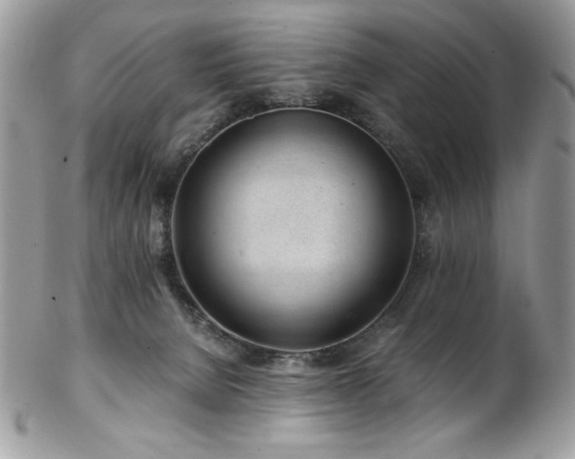 X0000102820080200808181255