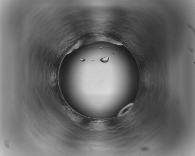 X0000102820082200808181255