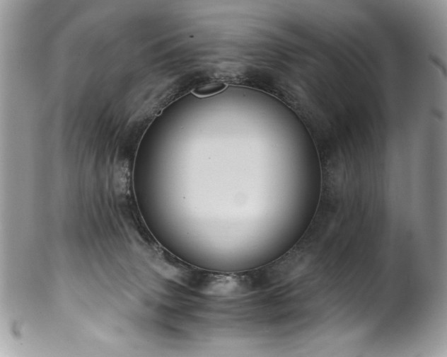X0000102820083200808181255