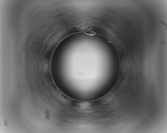 X0000102820085200808181255
