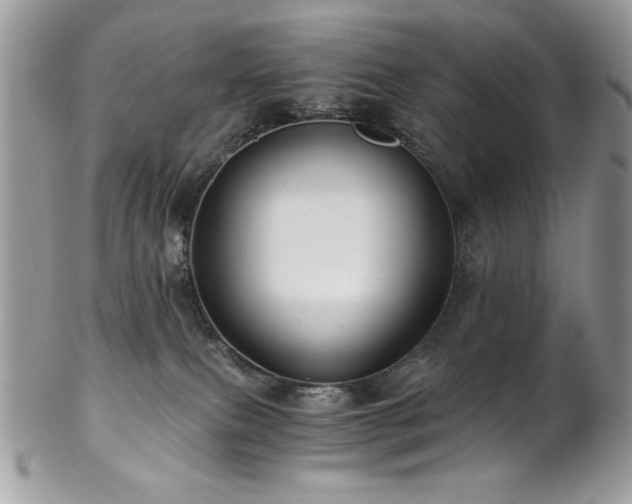 X0000102820087200808181255