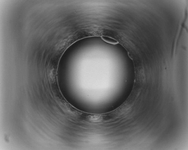 X0000102820088200808181255