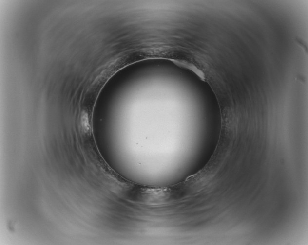 X0000102820089200808181255