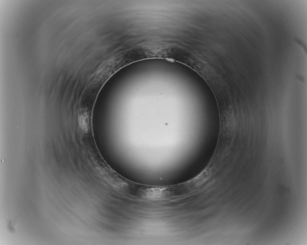 X0000102820090200808181255
