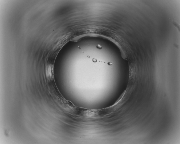 X0000102820094200808181255