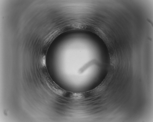 X0000102820095200808181255