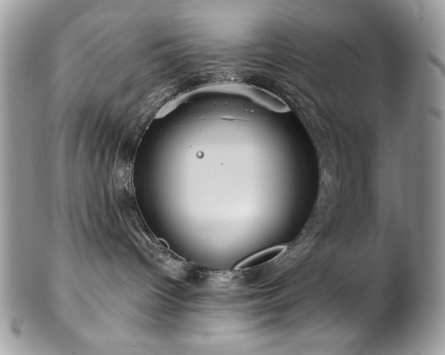 X0000102820096200808181255