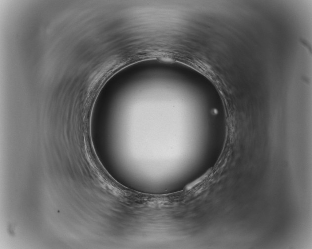 X0000102820097200808181255