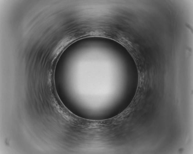 X0000102820098200808181255