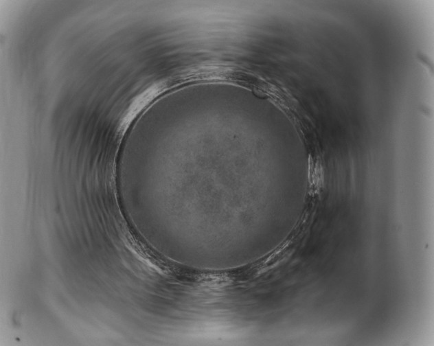 X0000102820099200808181255