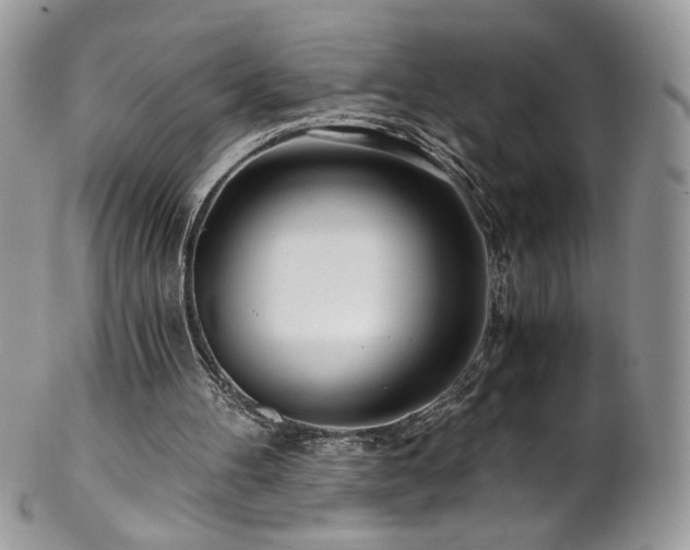 X0000102820100200808181255