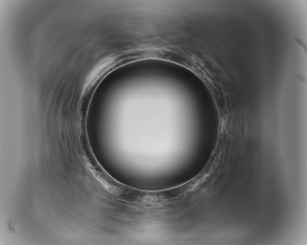 X0000102820101200808181255