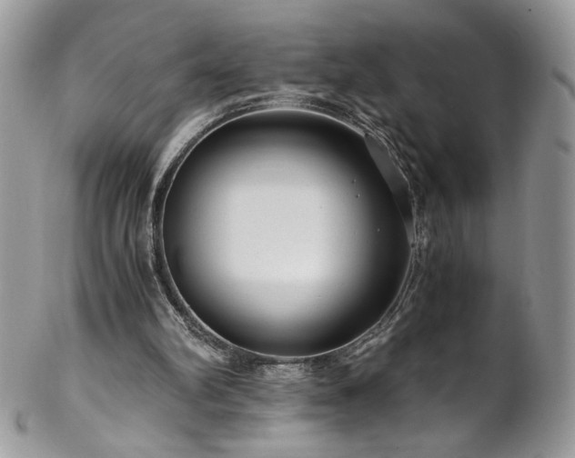 X0000102820102200808181255