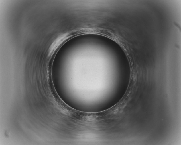 X0000102820103200808181255