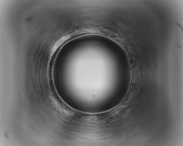 X0000102820104200808181255