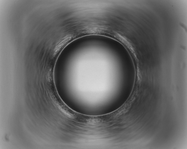 X0000102820105200808181255