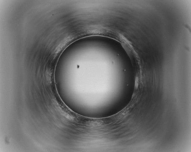 X0000102820106200808181255