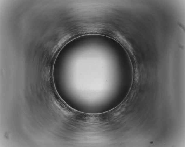 X0000102820107200808181255