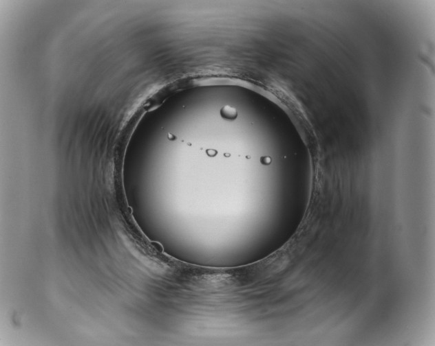 X0000102820108200808181255