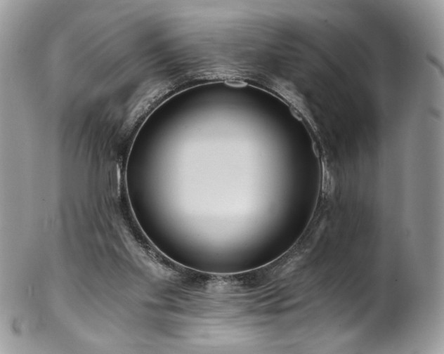 X0000102820109200808181255