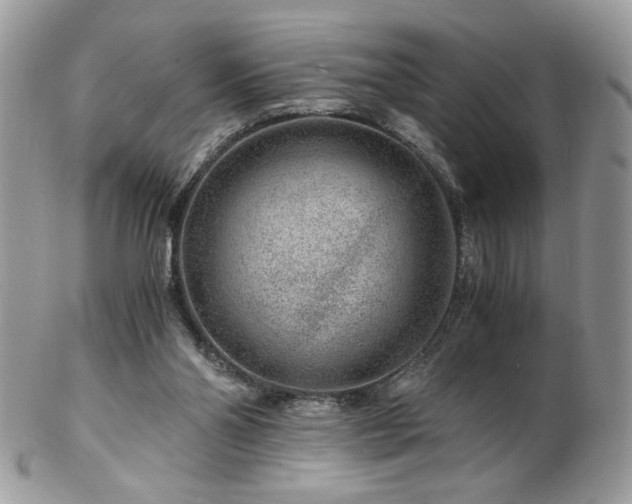 X0000102820110200808181255