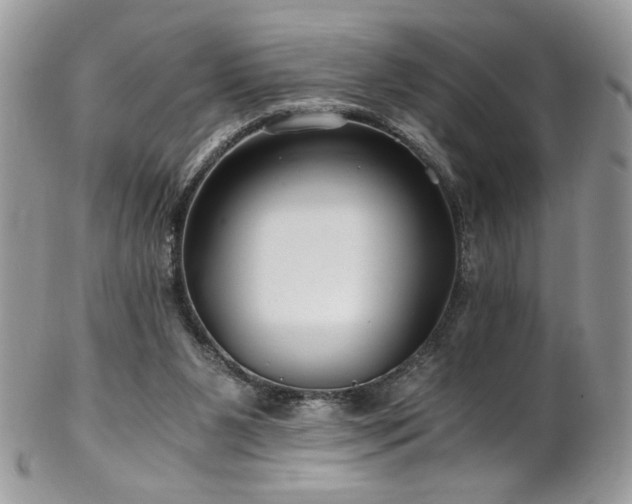 X0000102820111200808181255