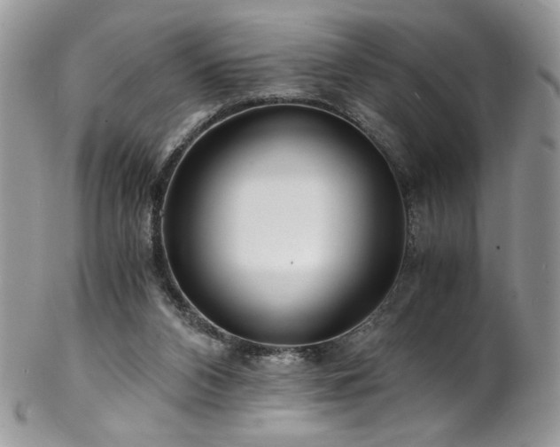 X0000102820112200808181255