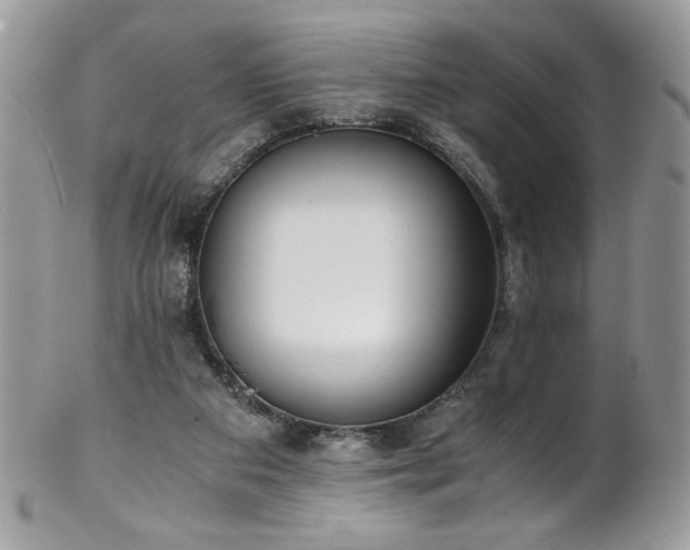 X0000102820113200808181255