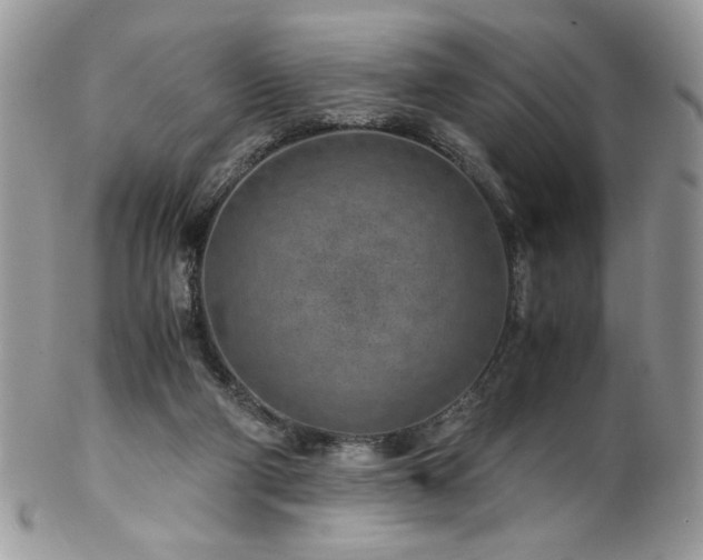 X0000102820114200808181255