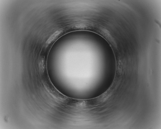 X0000102820116200808181255