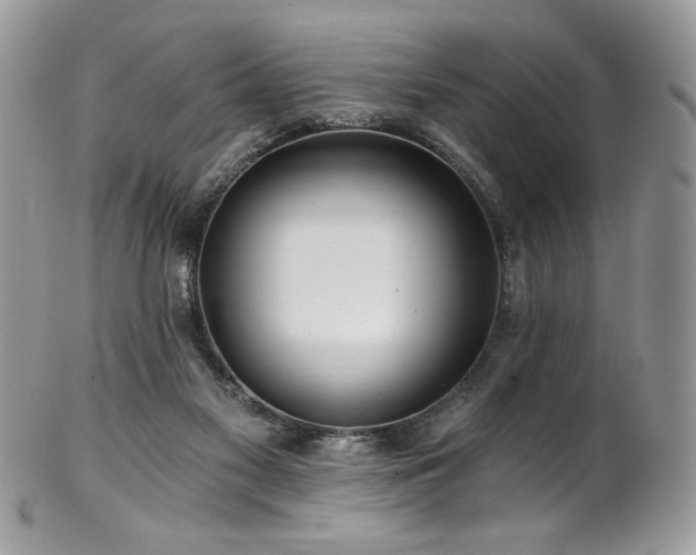 X0000102820117200808181254