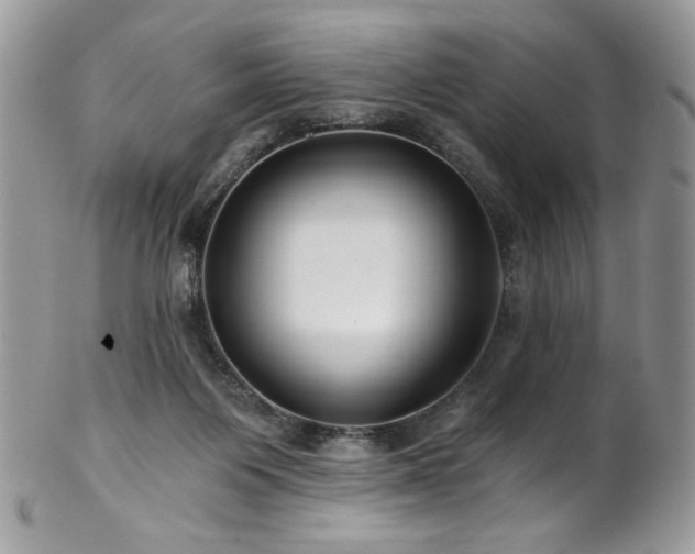 X0000102820119200808181254