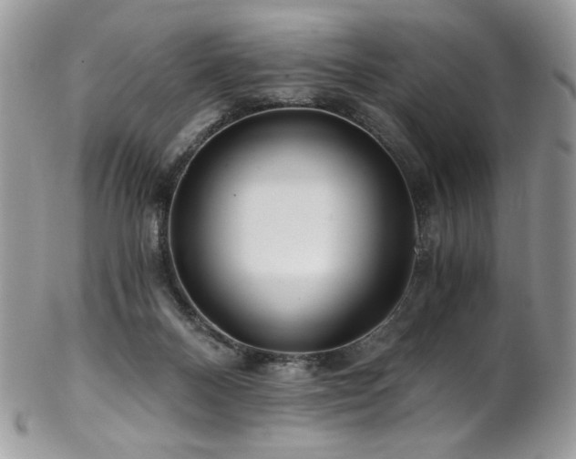 X0000102820120200808181254